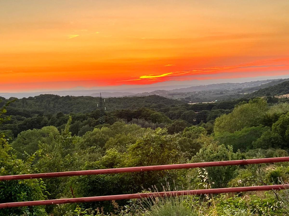 B&B Il Tramonto Barbarano Romano Экстерьер фото