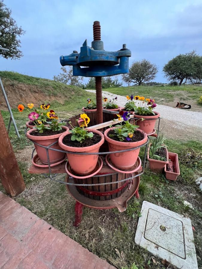 B&B Il Tramonto Barbarano Romano Экстерьер фото