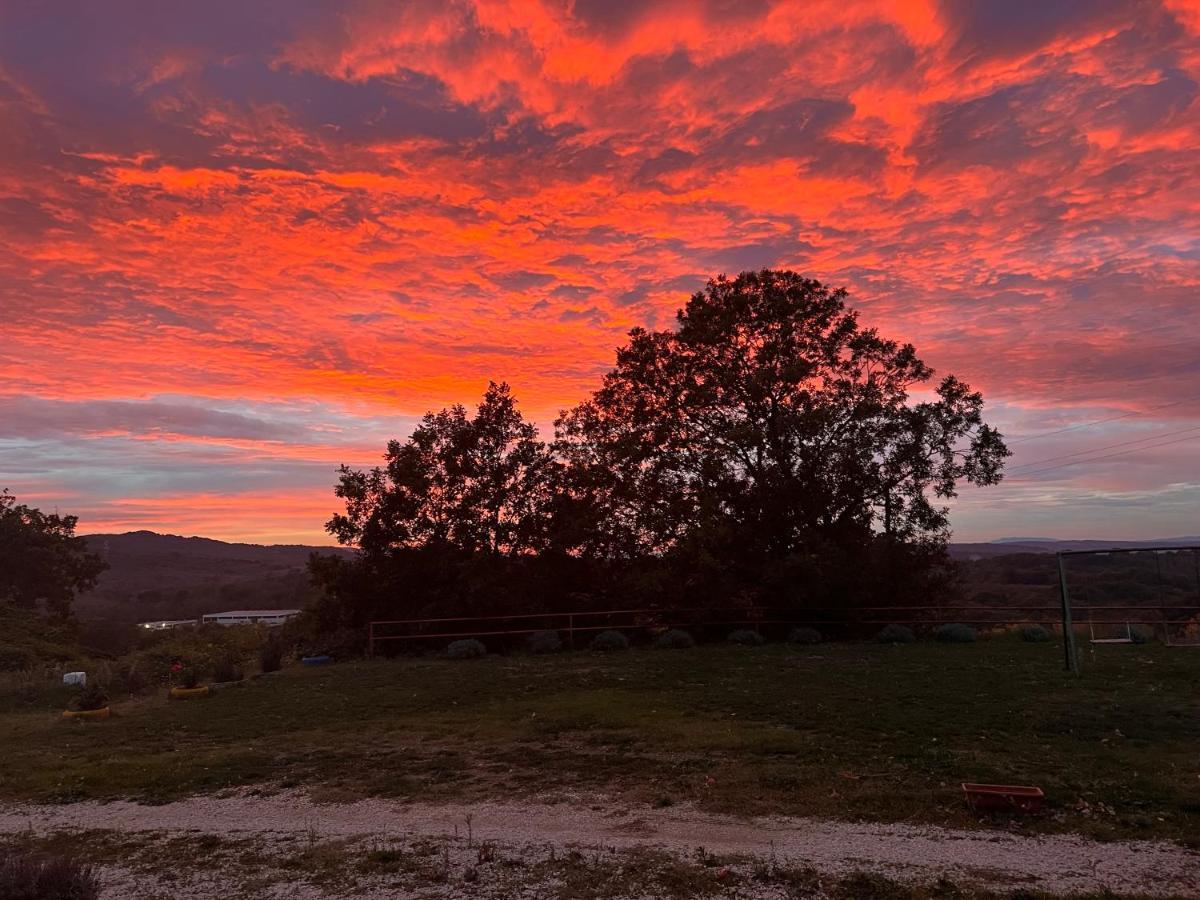 B&B Il Tramonto Barbarano Romano Экстерьер фото