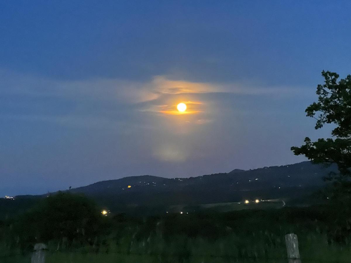 B&B Il Tramonto Barbarano Romano Экстерьер фото
